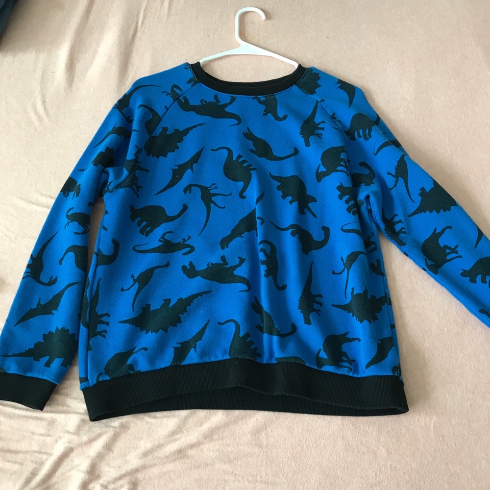 Dinosaur sweater
